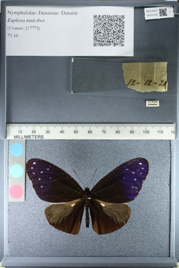 Media type: image;   Entomology 160120